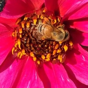 Meet your Posher, Lynn